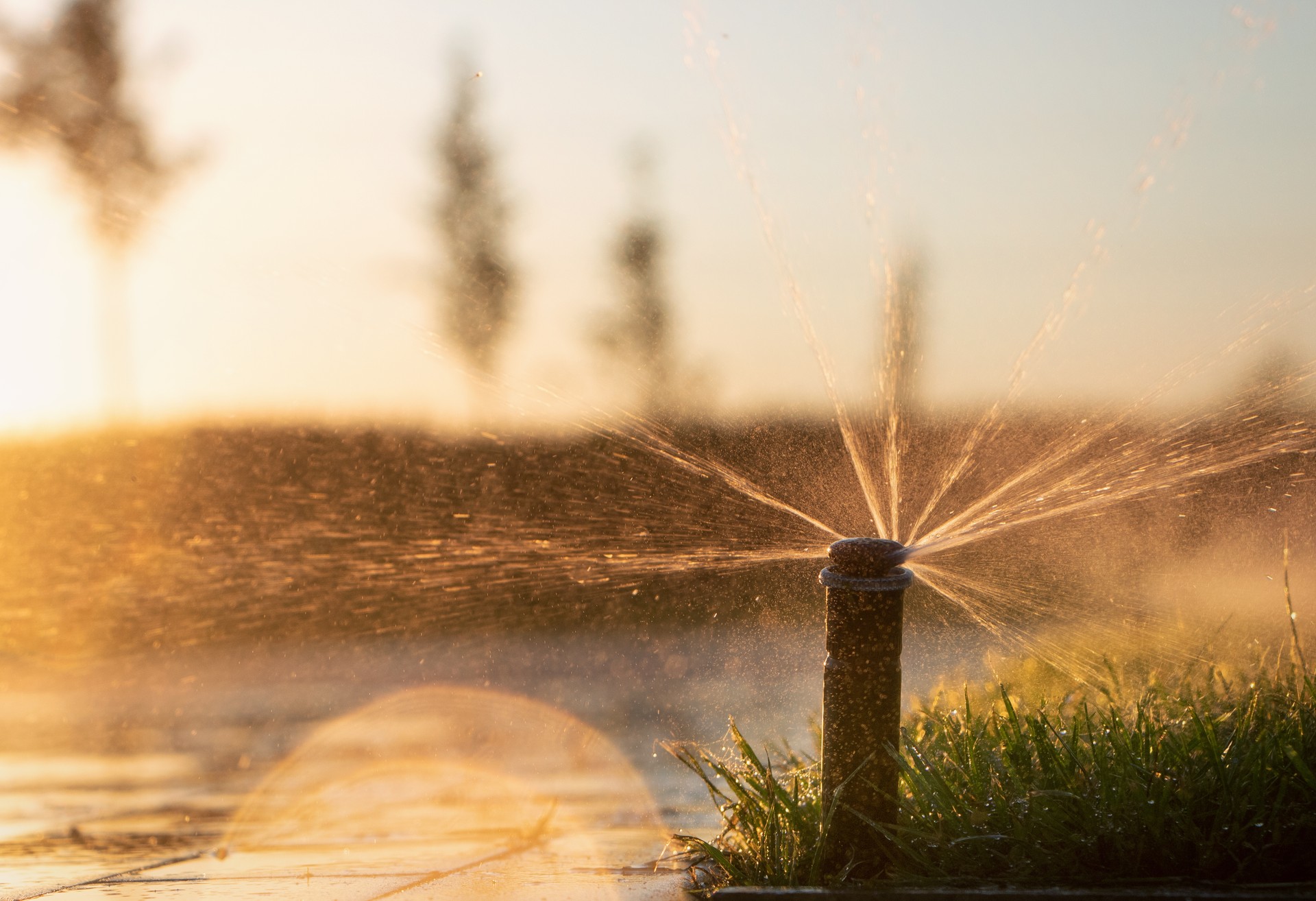 Automatic irrigation system spraying water on lawns to nourish the grass